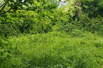 Фото №4: Земельный участок под ИЖС 27.15 сот. - Красноармейский, ул. Ворошилова, 36