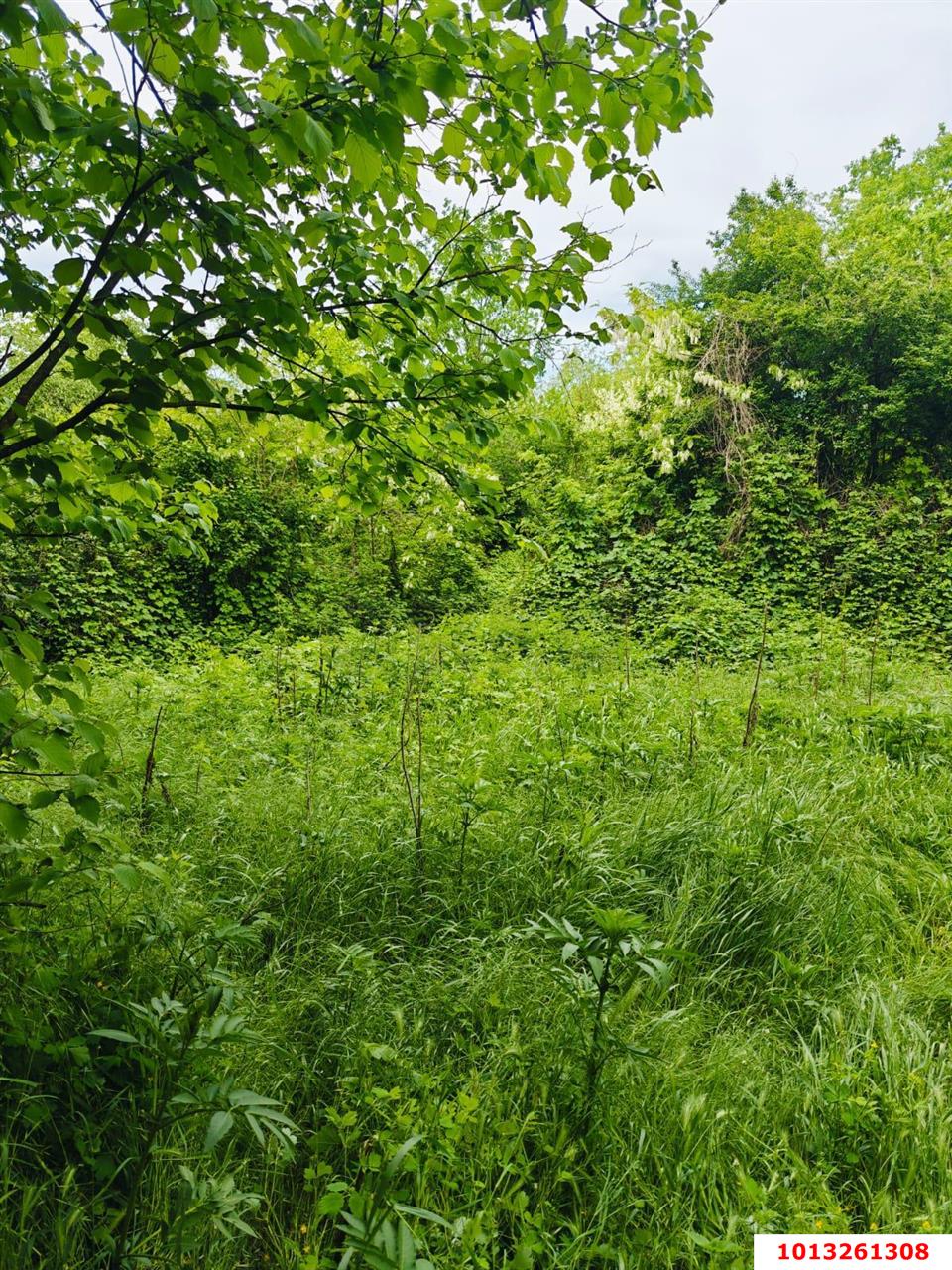 Фото №4: Земельный участок под ИЖС - Красноармейский, ул. Ворошилова, 36