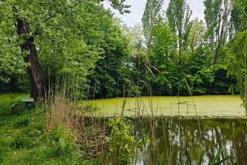 Фото №3: Земельный участок под ИЖС 27.15 сот. - Красноармейский, ул. Ворошилова, 36