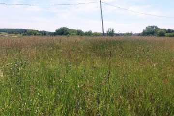 Фото №5: Земельный участок под ИЖС 27.15 сот. - Красноармейский, ул. Ворошилова, 36