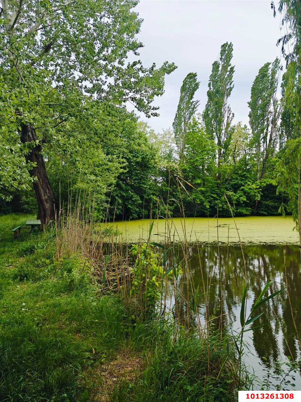 Фото №3: Земельный участок под ИЖС 27.15 сот. - Красноармейский, ул. Ворошилова, 36