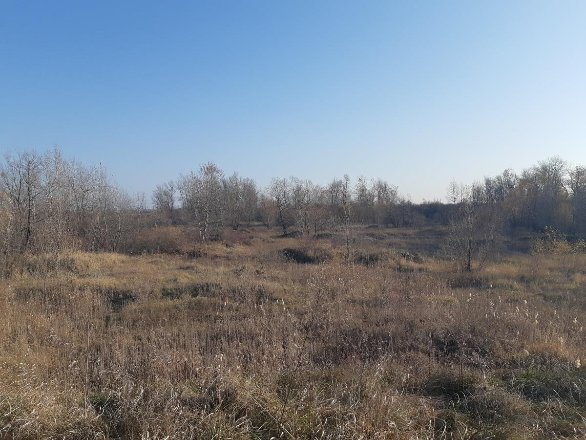 Фото №2: Коммерция 665 м² - Краснодарский край Северский район