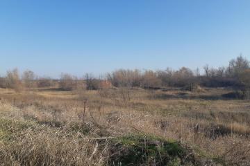 Фото №3: Коммерция 665 м² - Краснодарский край Северский район