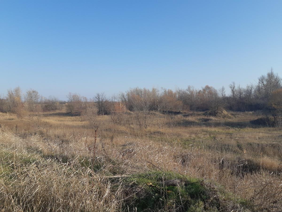 Фото №3: Коммерция 665 м² - Краснодарский край Северский район