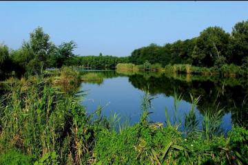 Фото №2: Земельный участок 7.5 сот. - Зарождение, ст КНИИСХ, ул. Набережная, 27