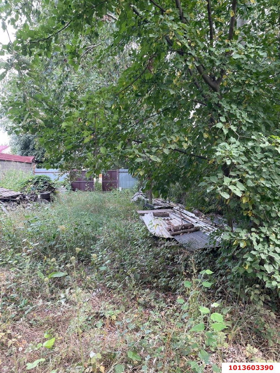 Фото №2: Земельный участок под ИЖС 6.64 сот. - Знаменский, Карасунский внутригородской округ, ул. Заповедная, 5