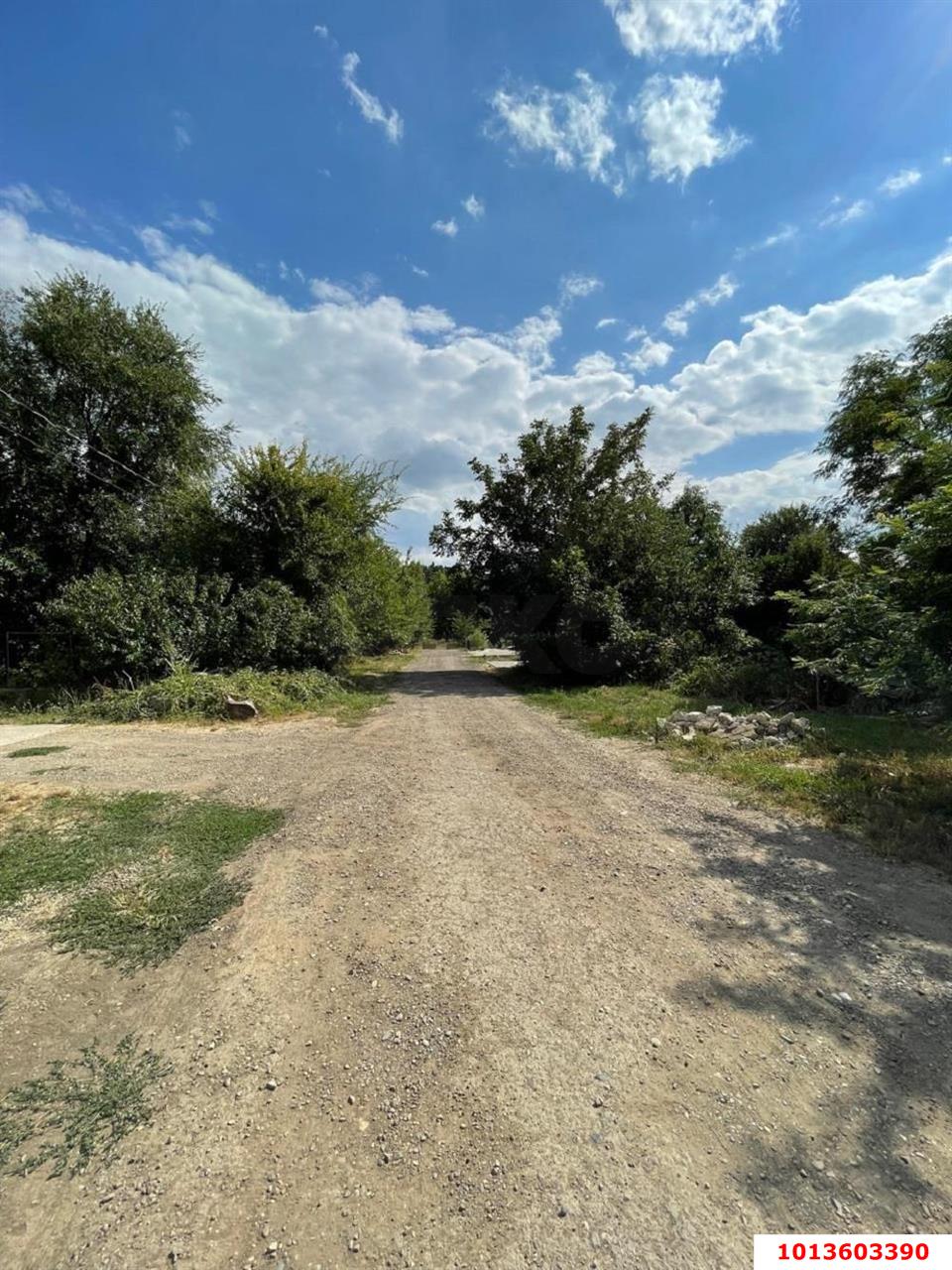 Фото №4: Земельный участок 6.64 сот. - Знаменский, ул. Заповедная, 5