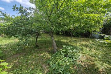 Фото №2: Земельный участок 6.15 сот. - Елизаветинская, ст Автомобилист-3, ул. Абрикосовая, 77