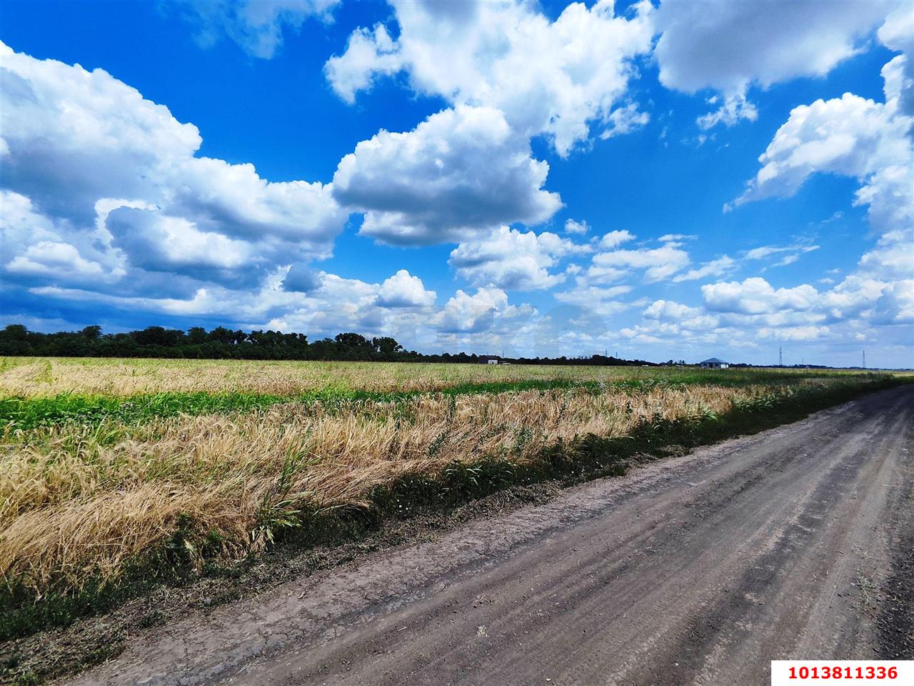 Фото №4: Земельный участок 10 сот. - Краснодар, ул. Бакинская, 5