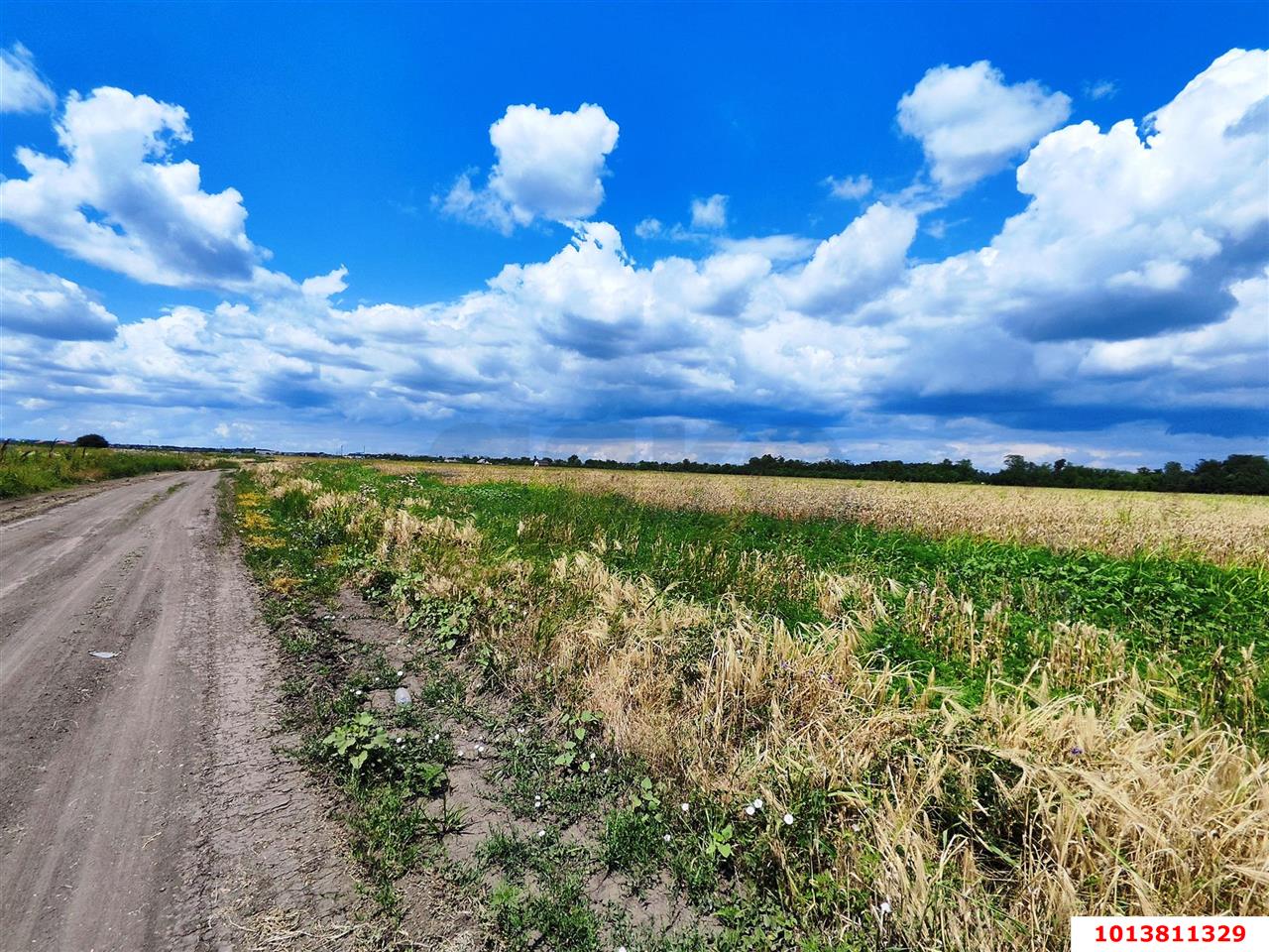 Фото №5: Земельный участок 10 сот. - Краснодар, ул. Бакинская, 9