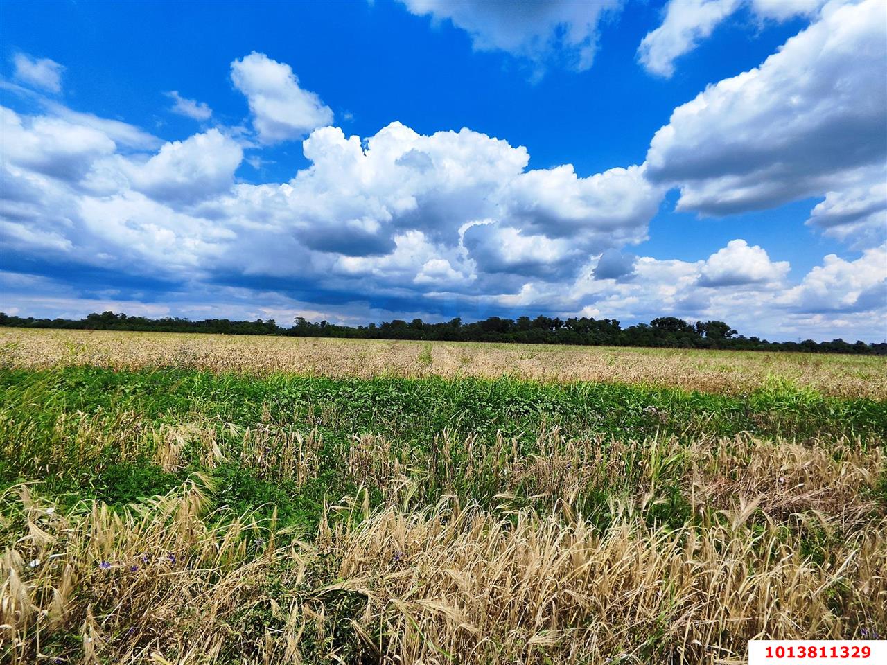 Фото №6: Земельный участок 10 сот. - Краснодар, ул. Бакинская, 9