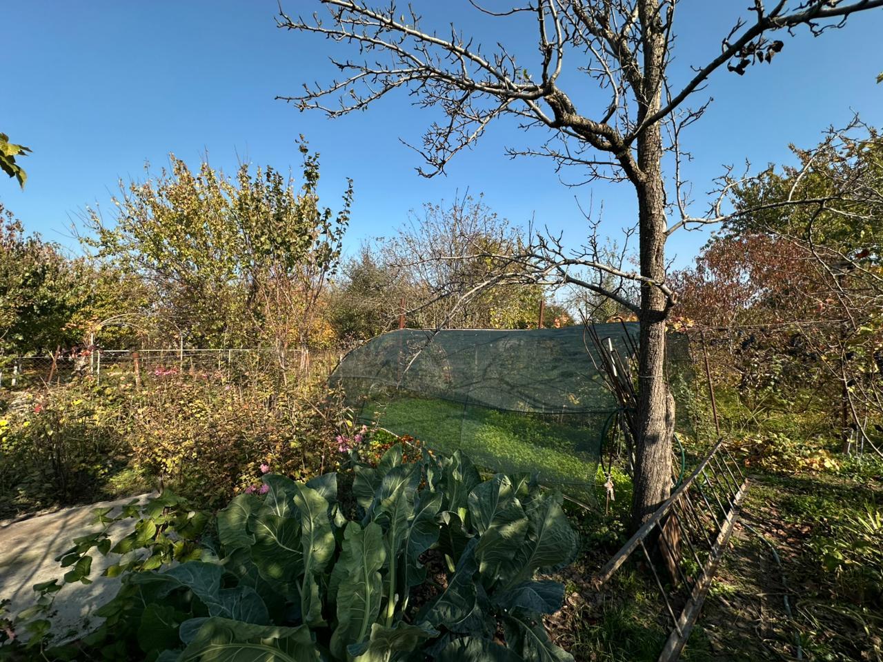 Фото №14: Дом 60 м² + 5.8 сот. - ТЭЦ, ул. Красная