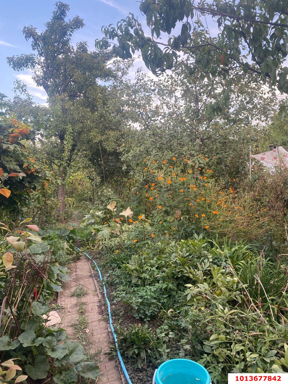 Фото №2: Дом 60 м² + 5.8 сот. - ТЭЦ, Прикубанский внутригородской округ, ул. Красная