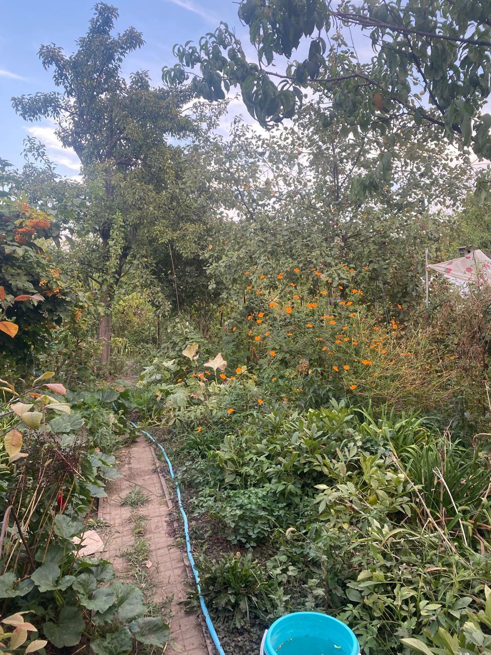 Фото №12: Дом 60 м² + 5.8 сот. - ТЭЦ, ул. Красная