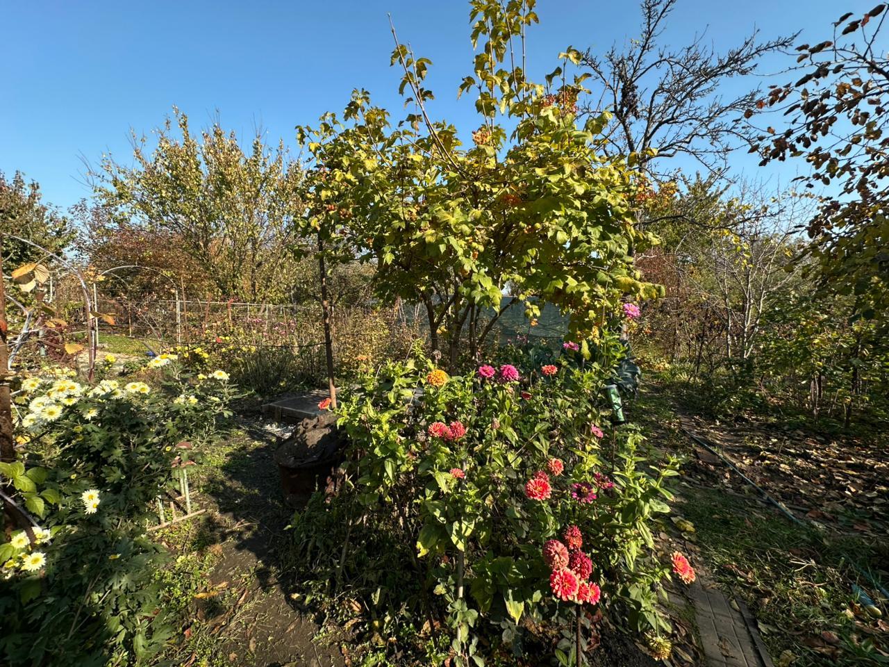 Фото №11: Дом 60 м² + 5.8 сот. - ТЭЦ, ул. Красная