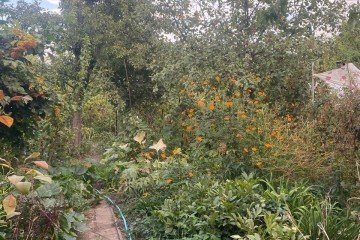 Фото №2: Дом 60 м² - ТЭЦ, мкр. Прикубанский внутригородской округ, ул. Красная