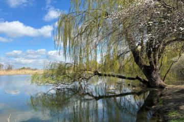 Фото №5: Дом 75 м² - Старомышастовская, мкр. жилой комплекс Ракурс, ул. Шпак, 60