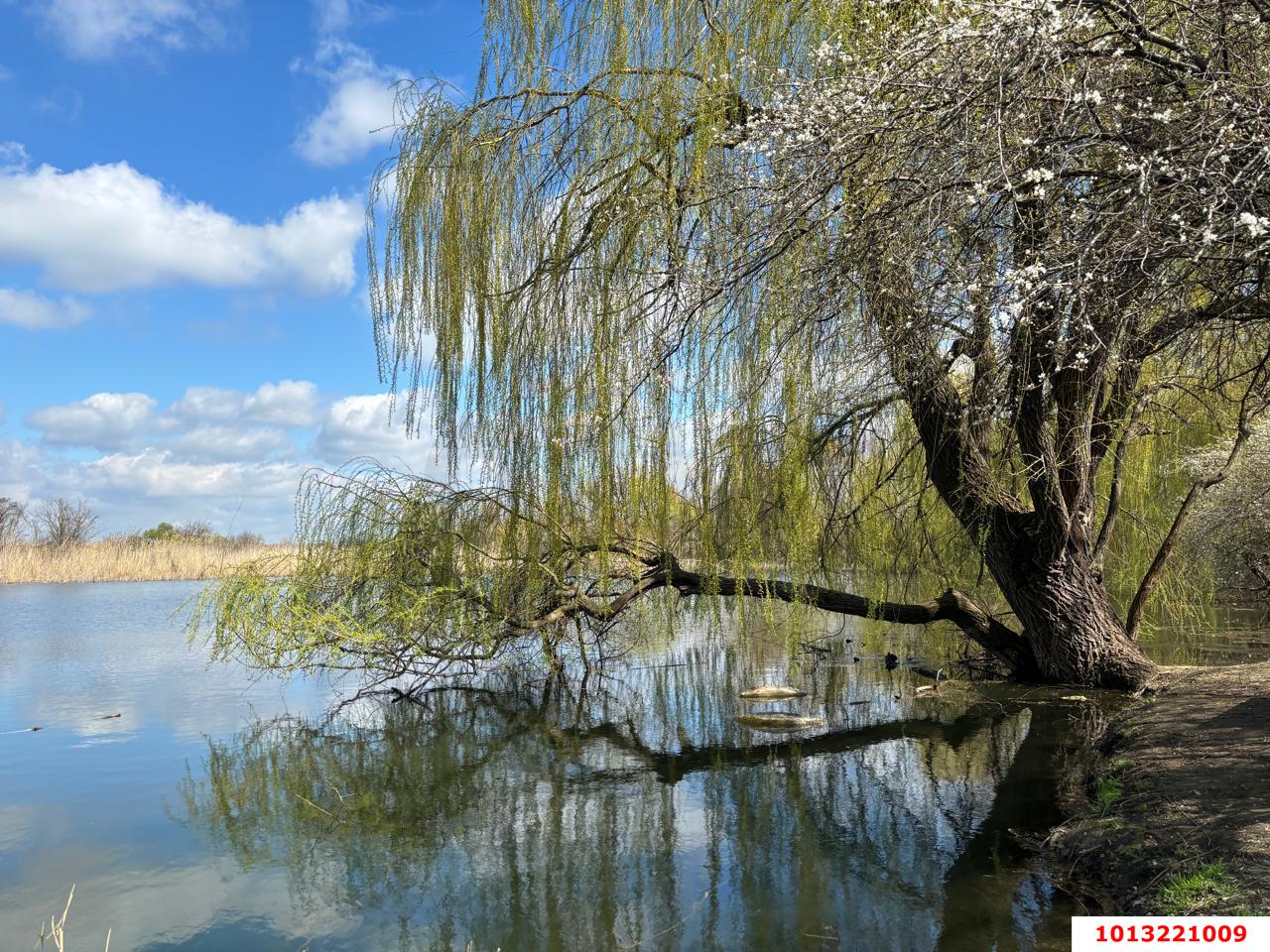 Фото №5: Дом 75 м² + 5 сот. - Старомышастовская, Завод Радиоизмерительных Приборов, имени Петра Метальникова, жилой комплекс Радуга, Прикубанский внутригородской округ, мкр. жилой комплекс Ракурс, ул. Шпак, 60