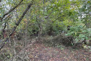 Фото №5: Земельный участок 3.93 сот. - СНТ Урожайное, мкр. Прикубанский внутригородской округ, ул. Прудовая