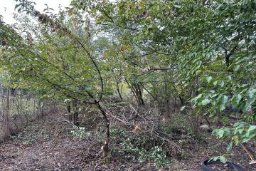 Фото №3: Земельный участок 3.93 сот. - СНТ Урожайное, мкр. Прикубанский внутригородской округ, ул. Прудовая