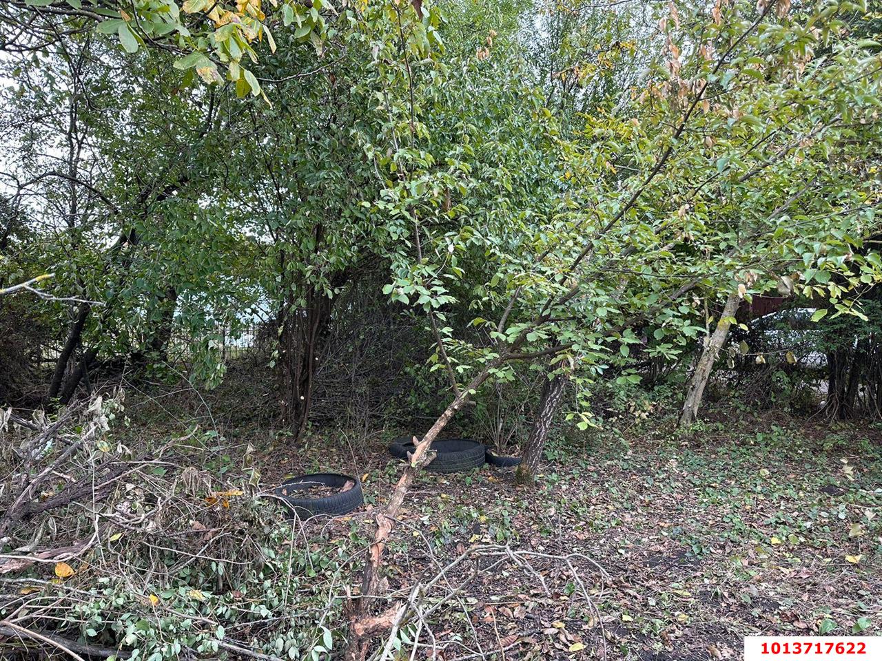 Фото №4: Земельный участок 3.93 сот. - СНТ Урожайное, мкр. Прикубанский внутригородской округ, ул. Прудовая