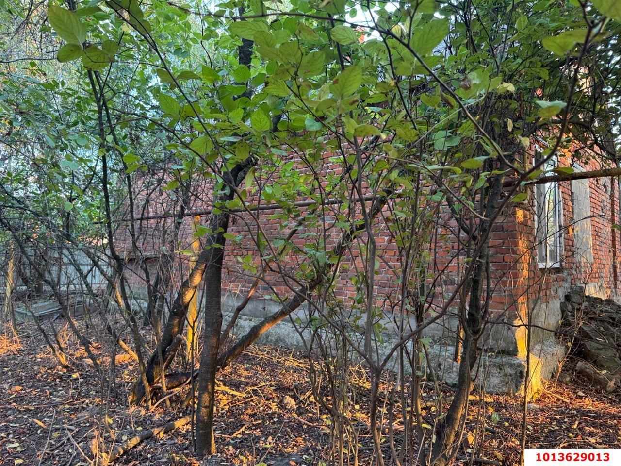 Фото №11: Дом 65 м² + 70 сот. - Пчегатлукай, ул. Хакурате, 15