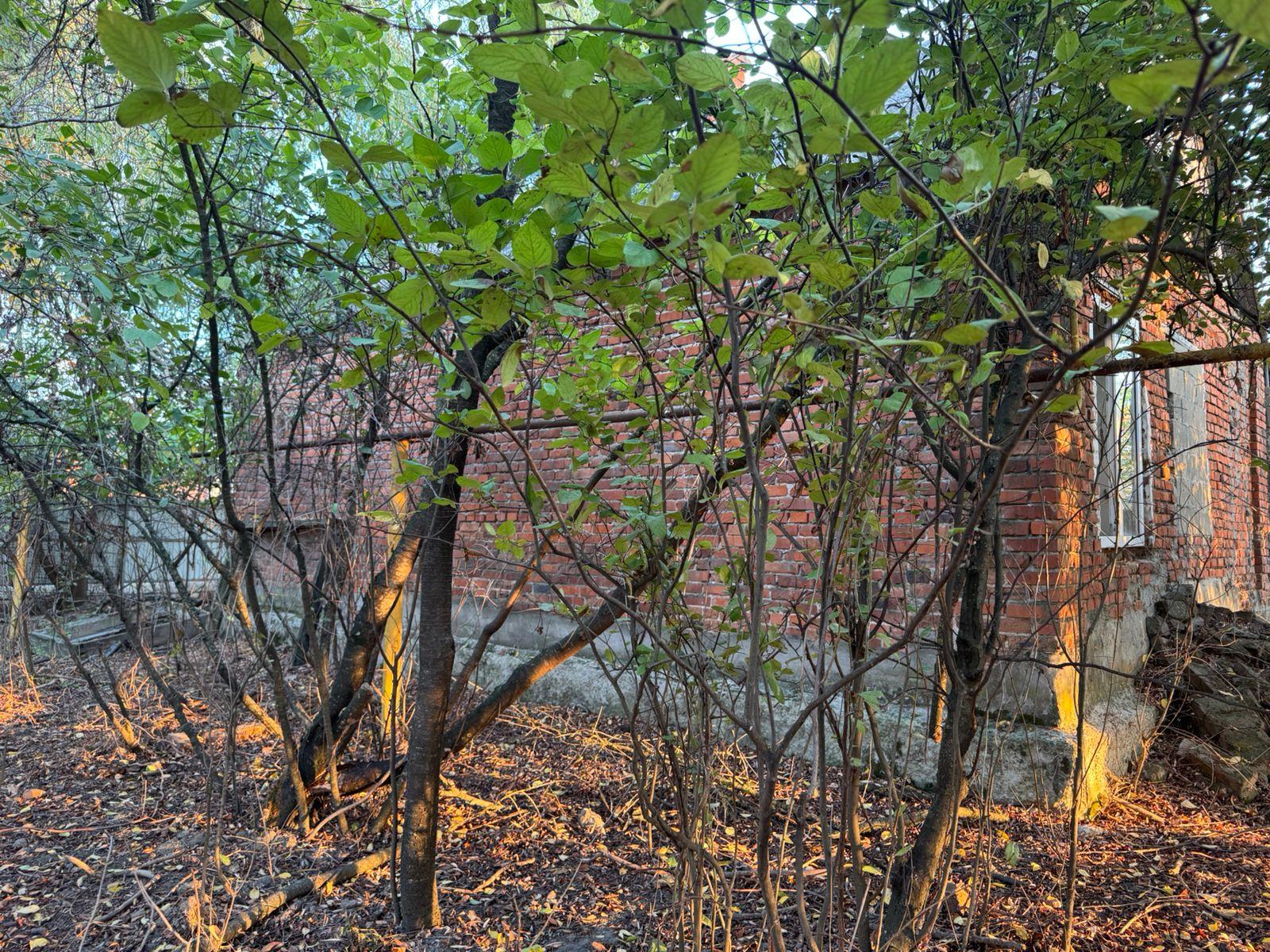 Фото №11: Дом 65 м² + 70 сот. - Пчегатлукай, мкр. Прикубанский внутригородской округ, ул. Хакурате, 15