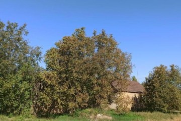 Фото №3: Земельный участок под ИЖС 26 сот. - Бережной, ул. Бережная, 30