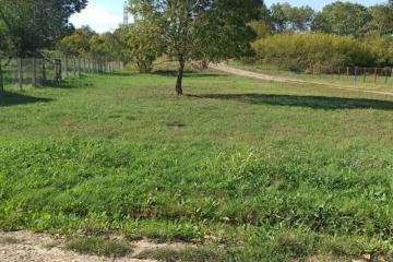 Фото №5: Земельный участок 26 сот. - Бережной, мкр. Прикубанский внутригородской округ, ул. Бережная, 30