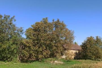 Фото №3: Земельный участок 26 сот. - Бережной, мкр. Прикубанский внутригородской округ, ул. Бережная, 30