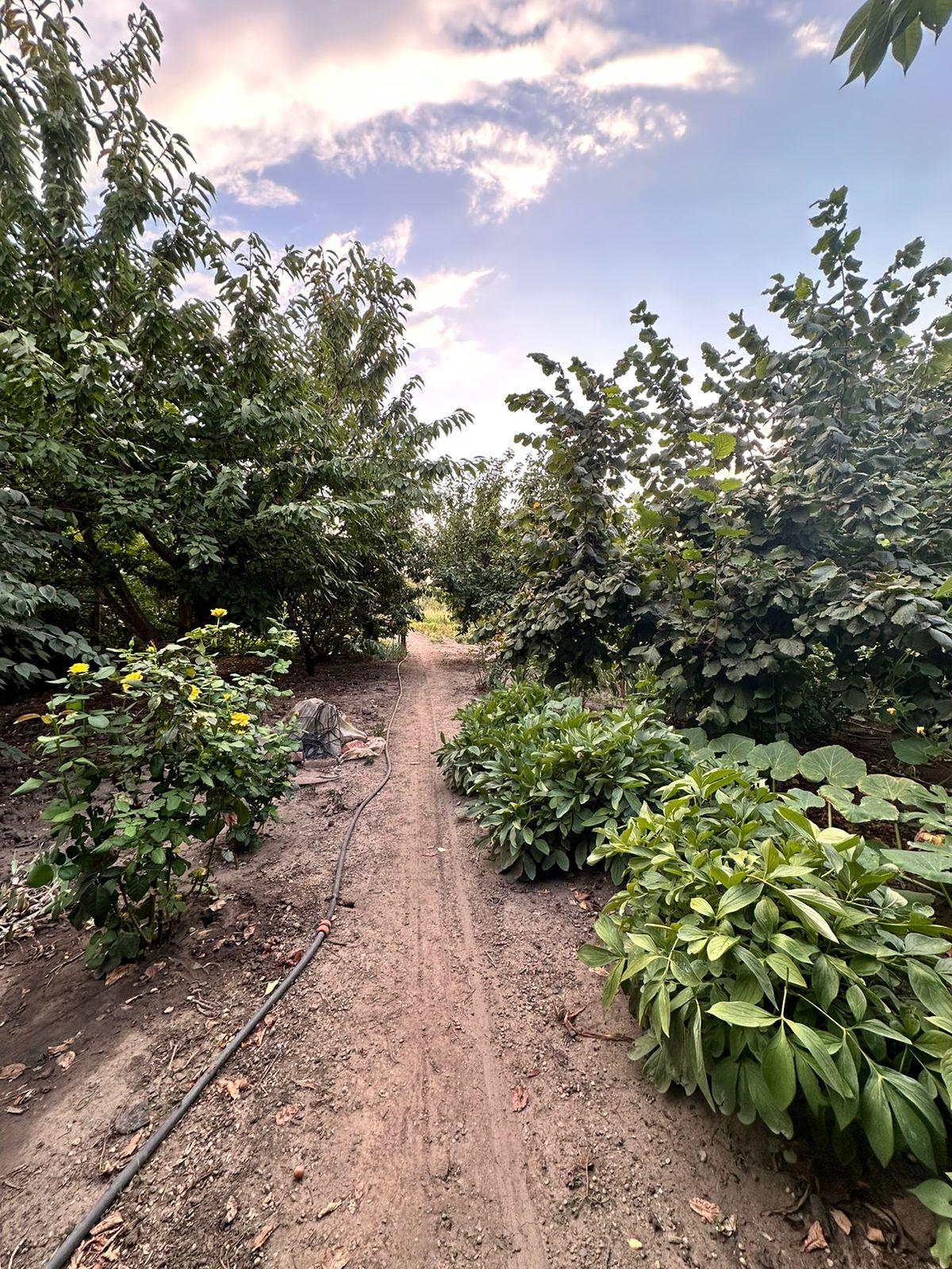 Фото №7: Дом 40 м² + 9.9 сот. - Ленина, ул. Обрезная, 29