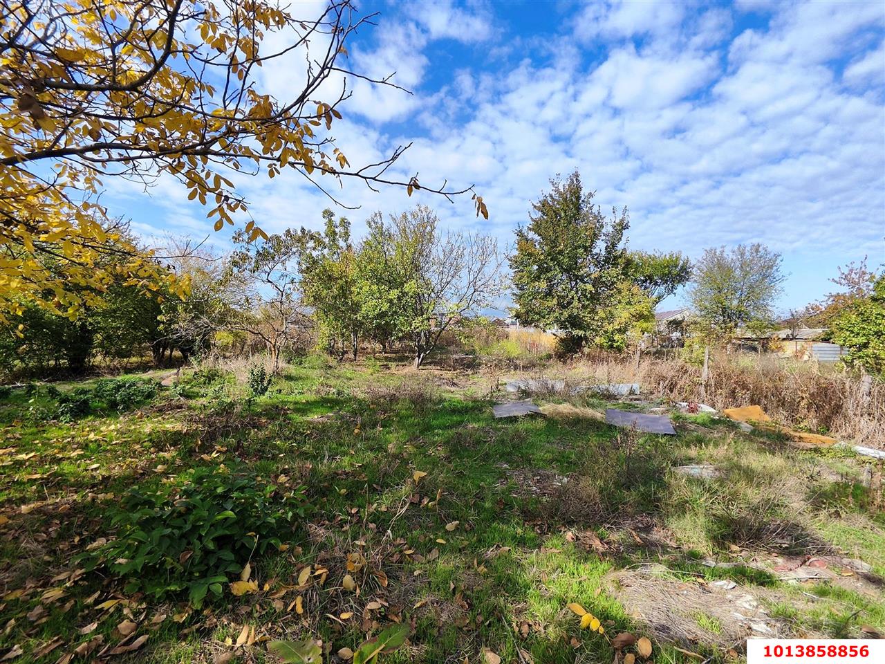 Фото №4: Земельный участок под ИЖС - Новая Адыгея, Карасунский внутригородской округ, Прикубанский внутригородской округ, мкр. Любимово, ул. Кубанская, 8