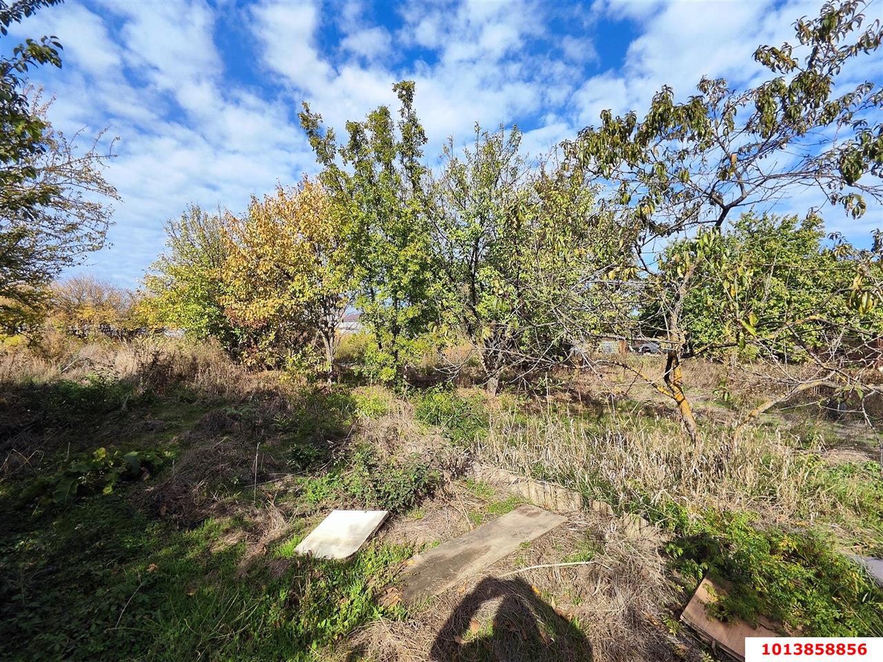 Фото №7: Земельный участок под ИЖС - Новая Адыгея, Карасунский внутригородской округ, Прикубанский внутригородской округ, мкр. Любимово, ул. Кубанская, 8