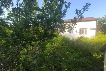 Фото №5: Дом 46 м² - Виноградное, мкр. Музыкальный, ул. Центральная