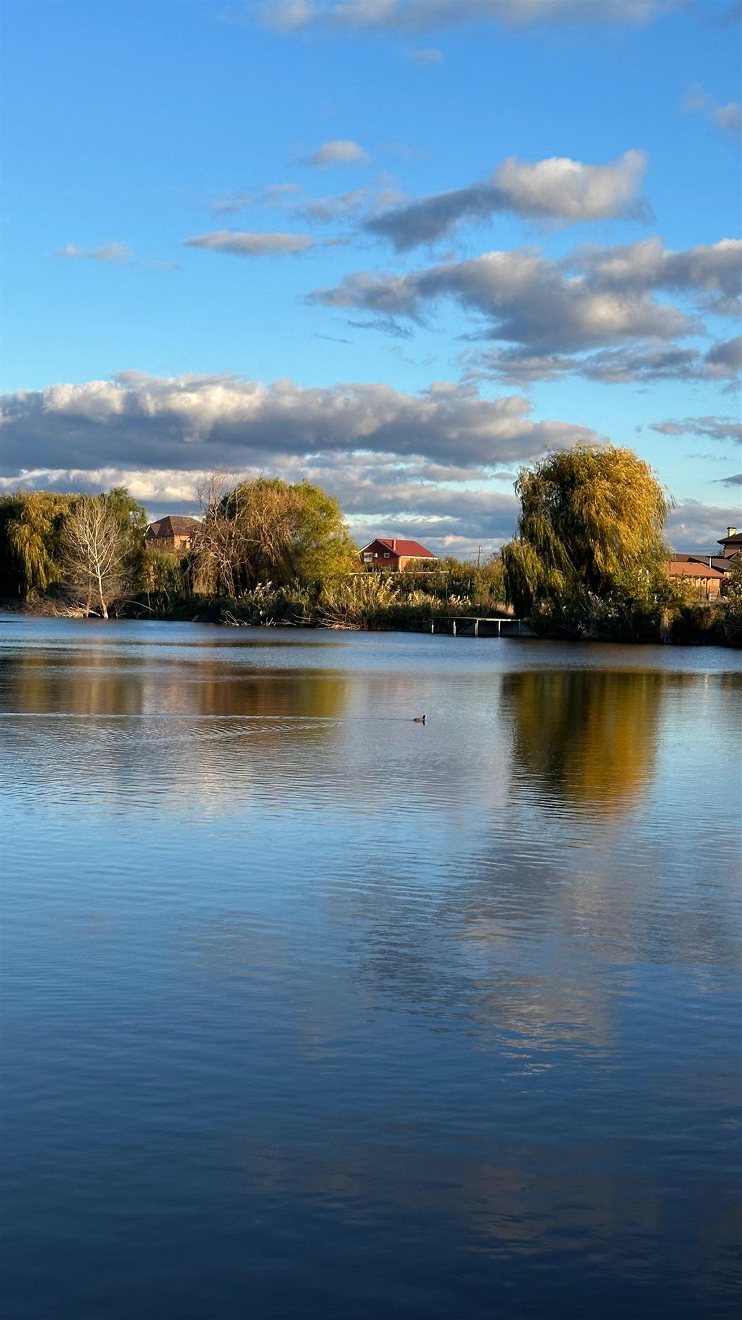 Фото №20: Дом 73 м² + 10 сот. - Старобжегокай, ул. Красная, 6