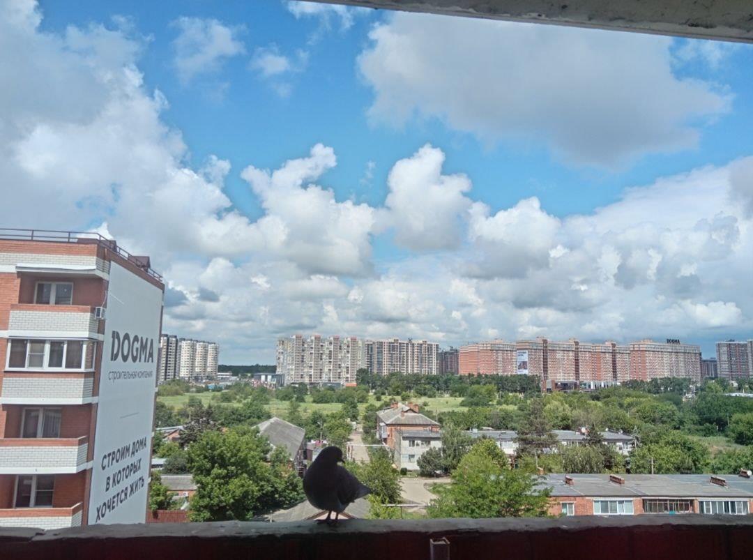 Фото №13: 1-комнатная квартира 34 м² - Краснодар, Прикубанский внутригородской округ, мкр. отделение № 2 Агрофирмы Солнечная, 5