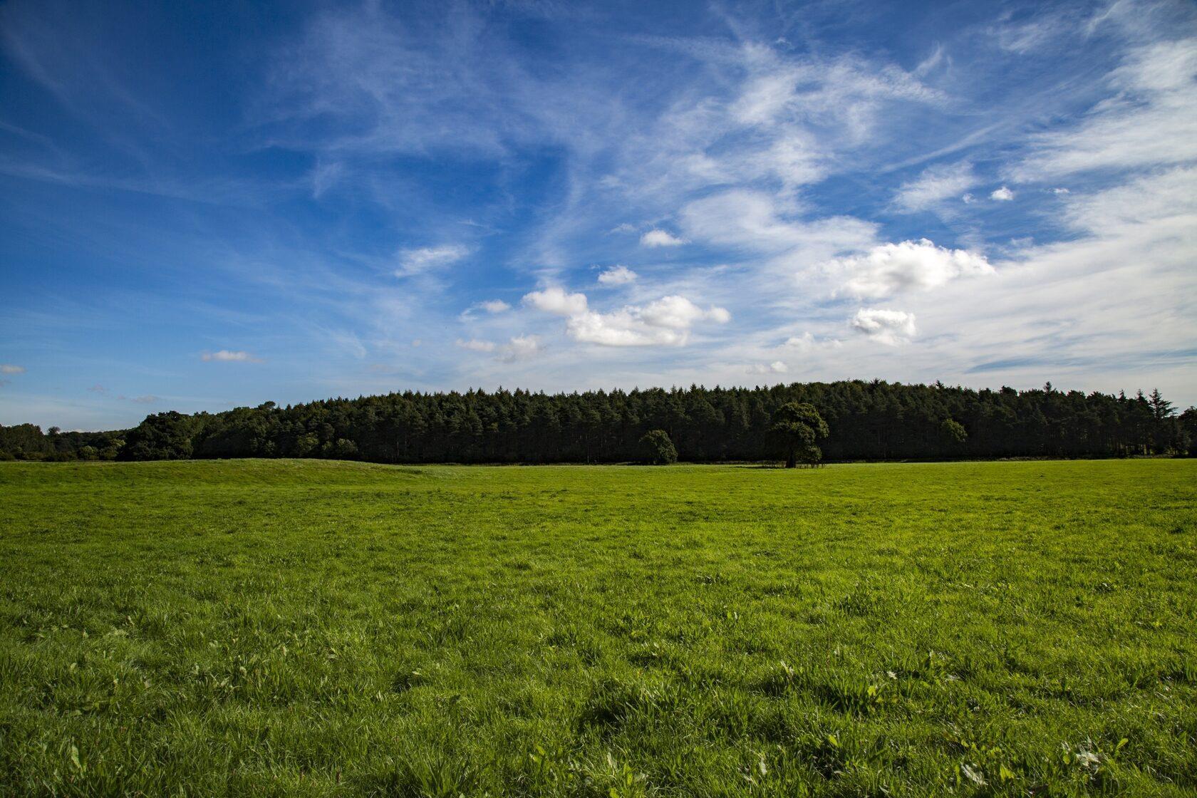 Фото №1: Коммерция 34 м² - Григорьевская, коттеджный  Николино Парк, Прикубанский внутригородской округ, жилой комплекс Самолёт-6, Карасунский внутригородской округ, Гидростроителей, Почтовый, мкр. Прикубанский внутригородской округ, ул. Морская, 1