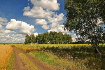 Фото №2: Коммерция 50 м² - Григорьевская, мкр. Прикубанский внутригородской округ, ул. Морская, 1