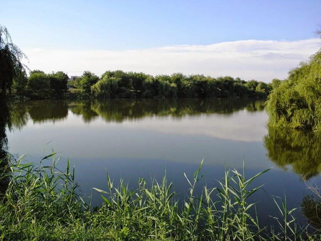 Фото №1: Коммерция 5 м² - Журавлёвка