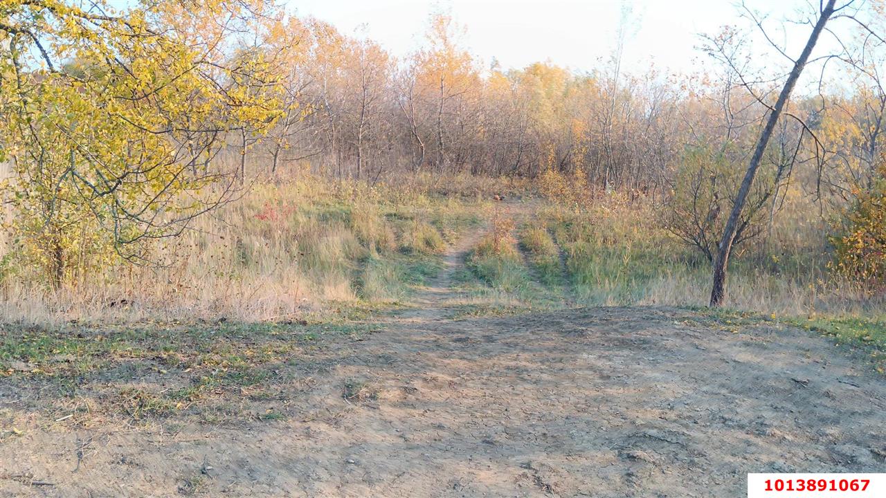 Фото №2: Участок садоводство 8.89 сот. - НСТ Сады Сатурна, Прикубанский внутригородской округ, 146