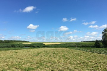 Фото №3: Земельный участок под ИЖС 38 сот. - Братковское, ул. Южная, 107