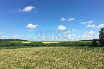 Фото №3: Земельный участок 38 сот. - Братковское, ул. Южная, 107