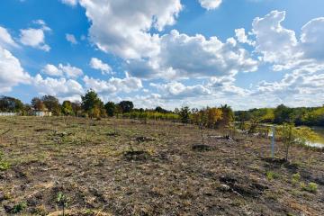 Фото №5: Земельный участок 15 сот. - Новомогилёвский, ул. Тельмана, 44