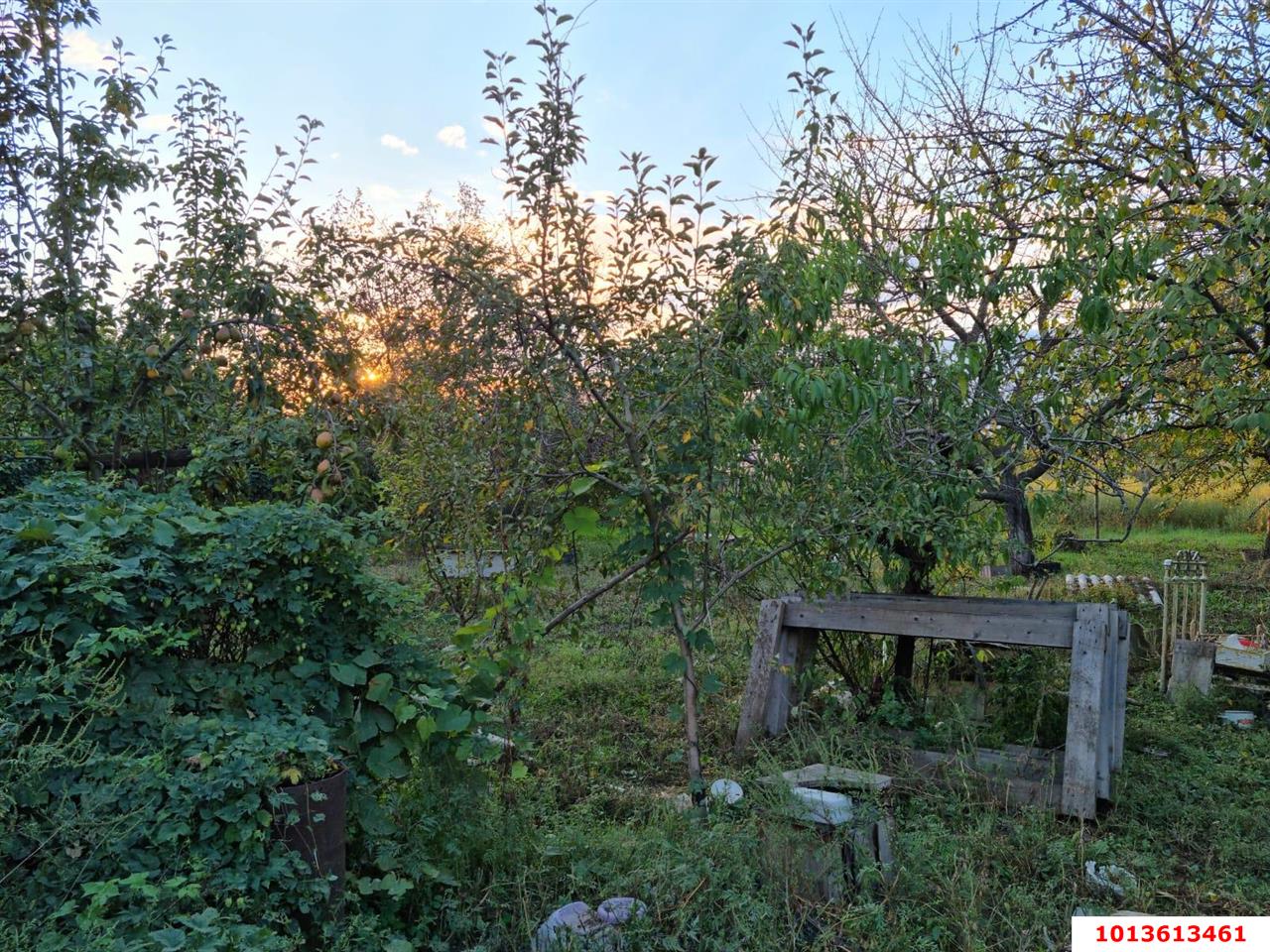 Фото №8: Земельный участок под ИЖС 30 сот. - Копанской, Прикубанский внутригородской округ, ул. Центральная, 28