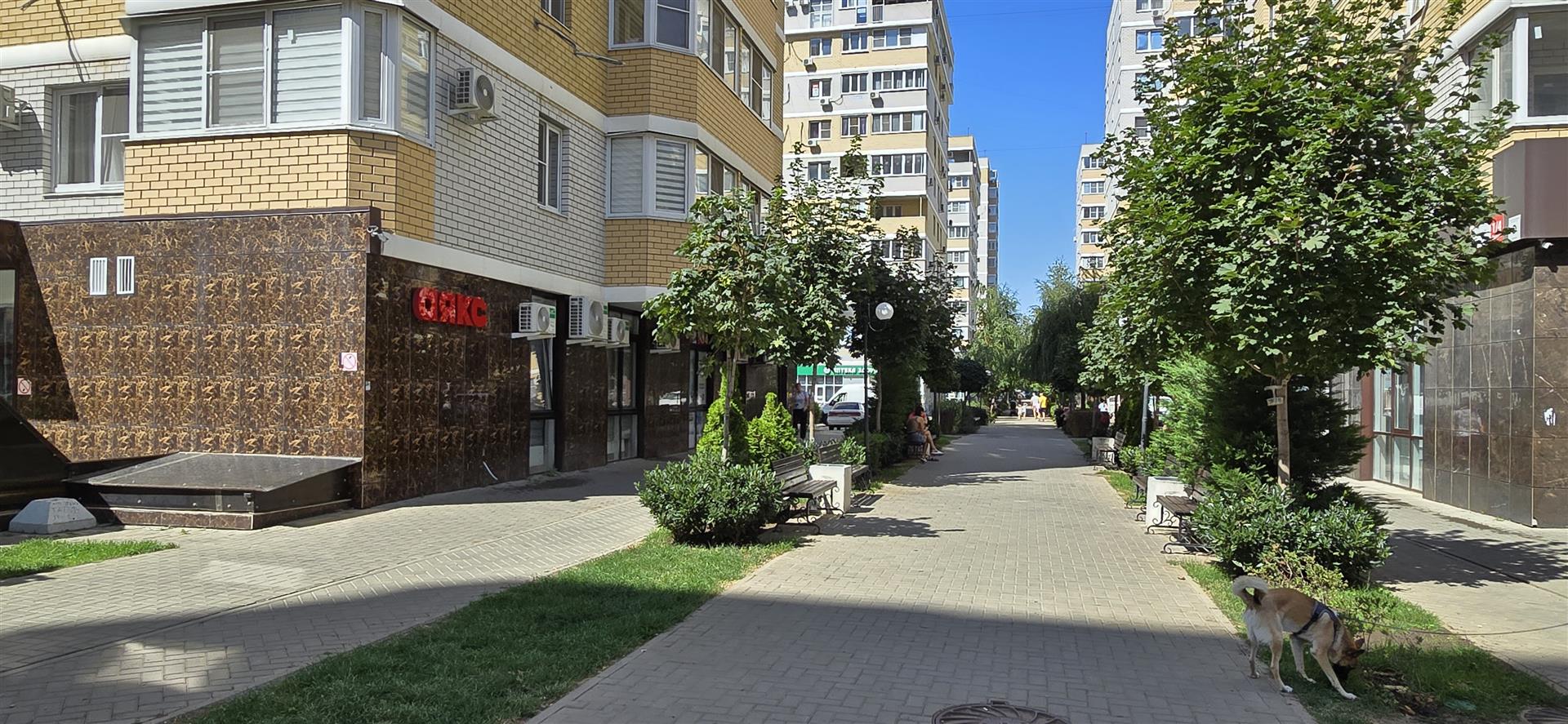 Фото №3: Коммерция 134 м² - Краснодар, Прикубанский внутригородской округ, Славянский, мкр. Светлоград, ул. Красных Партизан, 1/4к7