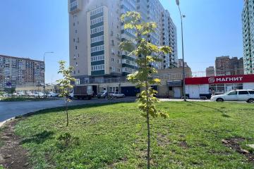 Фото №4: Коммерция 289 м² - Краснодар, мкр. Карасунский внутригородской округ, ул. Трудовой Славы