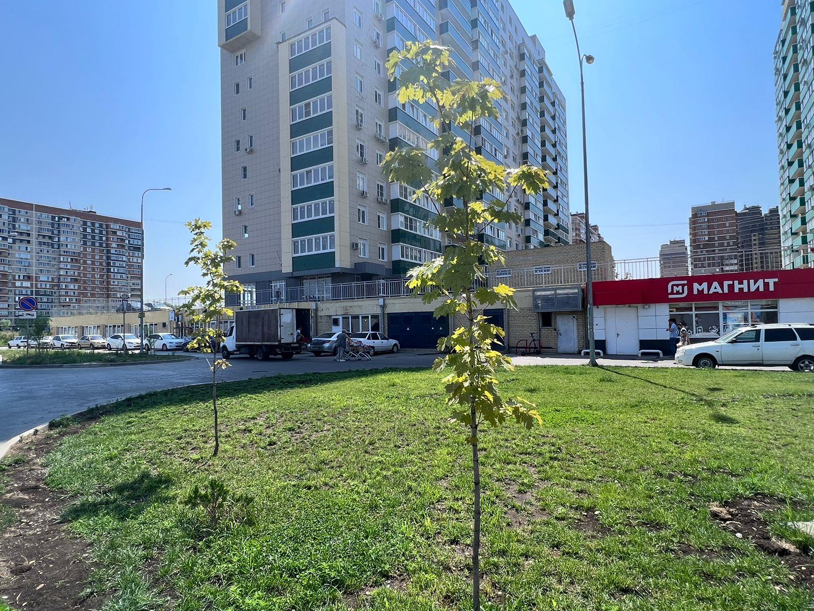 Фото №4: Коммерция 289 м² - Краснодар, мкр. Карасунский внутригородской округ, ул. Трудовой Славы