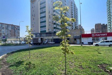 Фото №4: Торговое помещение 290 м² - Краснодар, мкр. Карасунский внутригородской округ, ул. Трудовой Славы