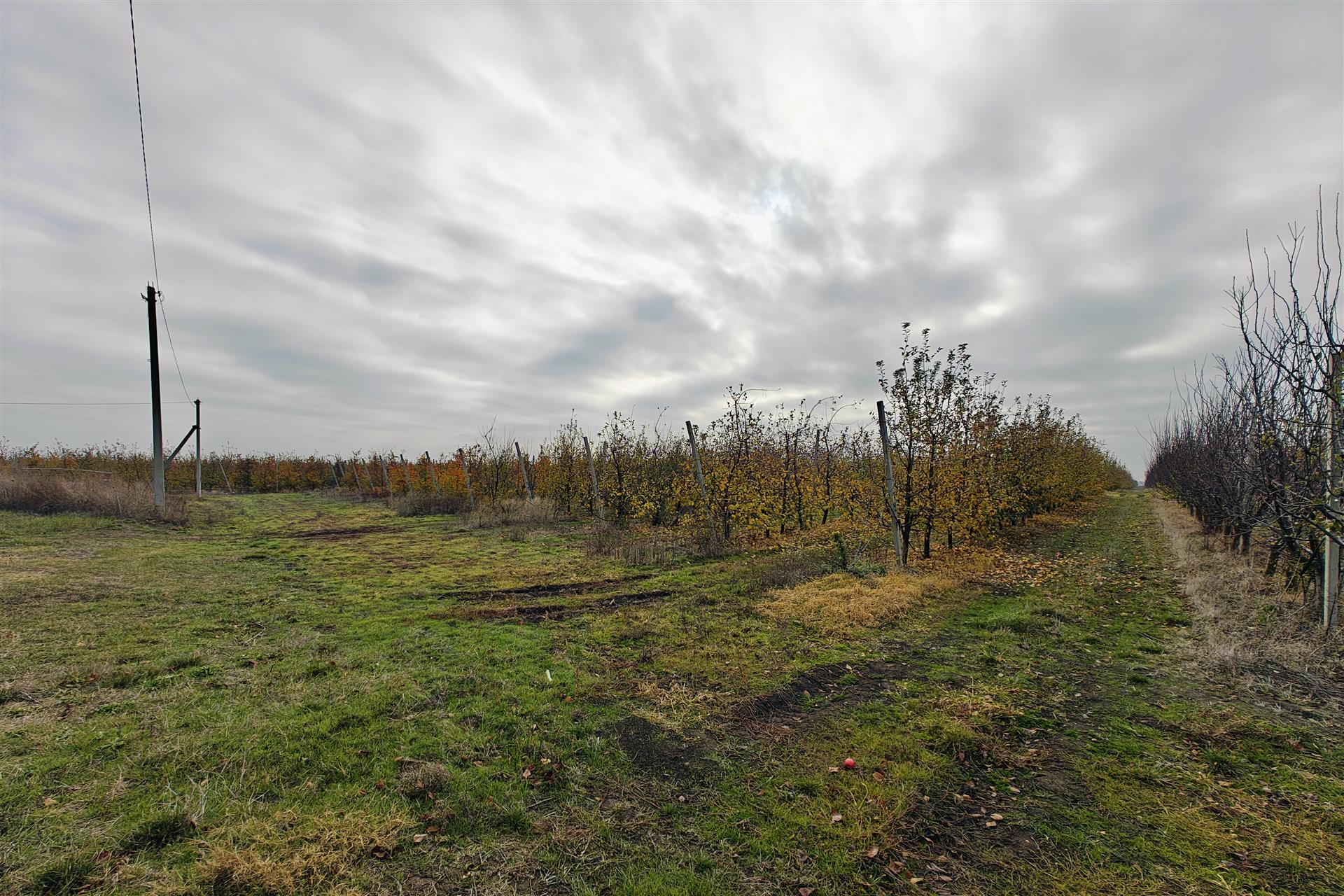 Фото №11: Коммерция 1614 м² - Республика Адыгея (Адыгея) Теучежский район