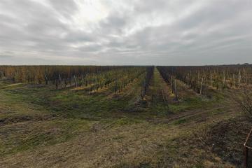 Фото №3: Коммерция 1614 м² - Республика Адыгея (Адыгея) Теучежский район